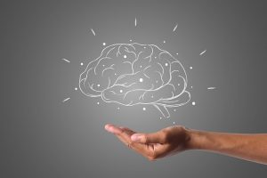 The brain being held by a hand underneath