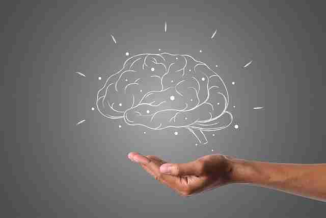 The brain being held by a hand underneath
