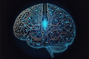 The brain and decication to evaluation, testing and assessments