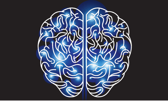A blue brain with networks available Neuroplasticity: The Brain's Capacity for Lifelong Learning Overview