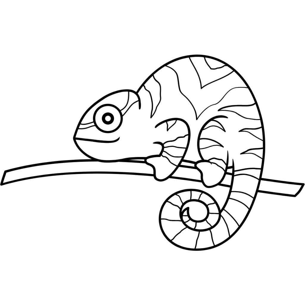 chameleon 3rd culture kids Spy in training